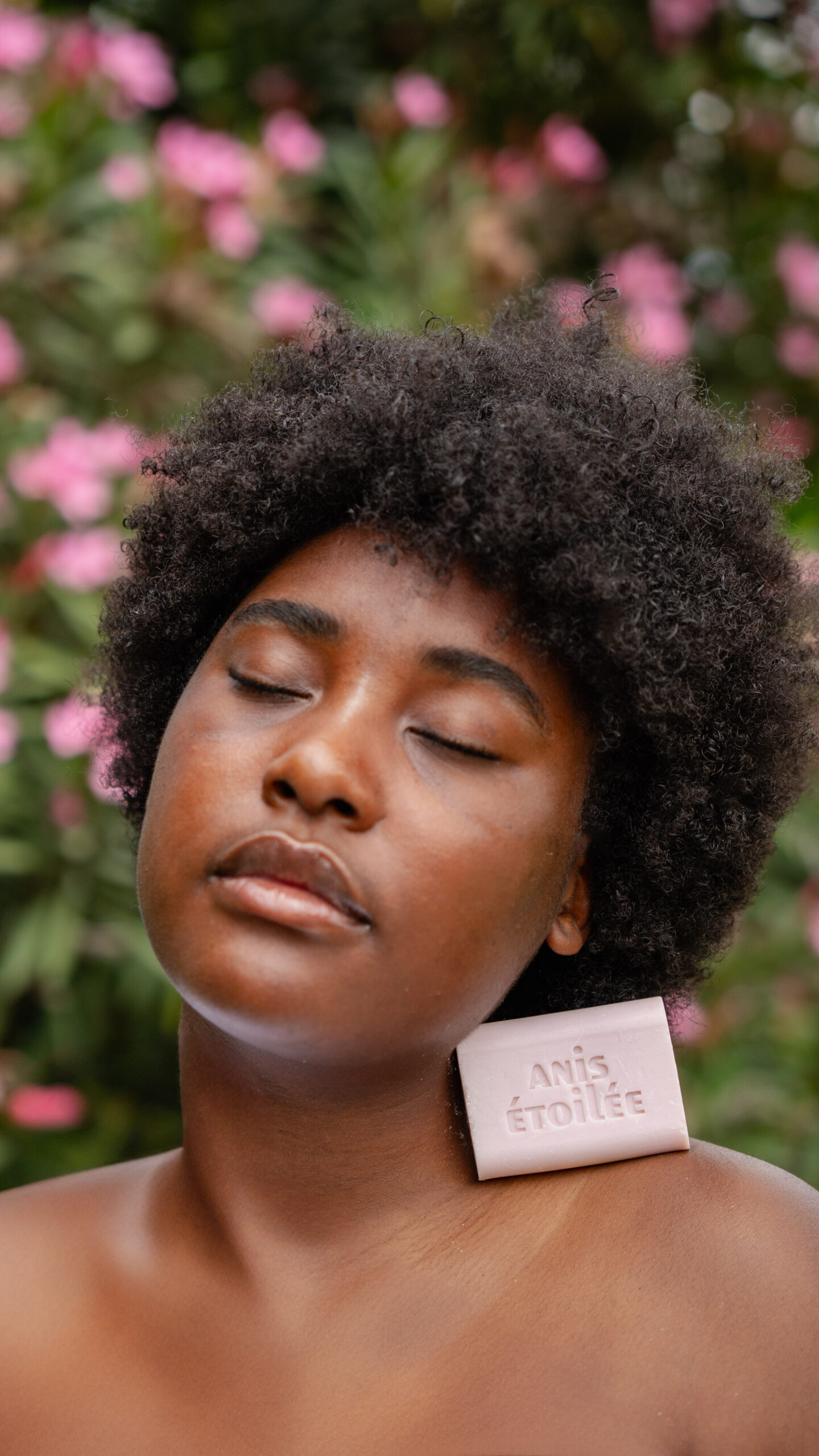 Le savon parfumé Anis Étoilée